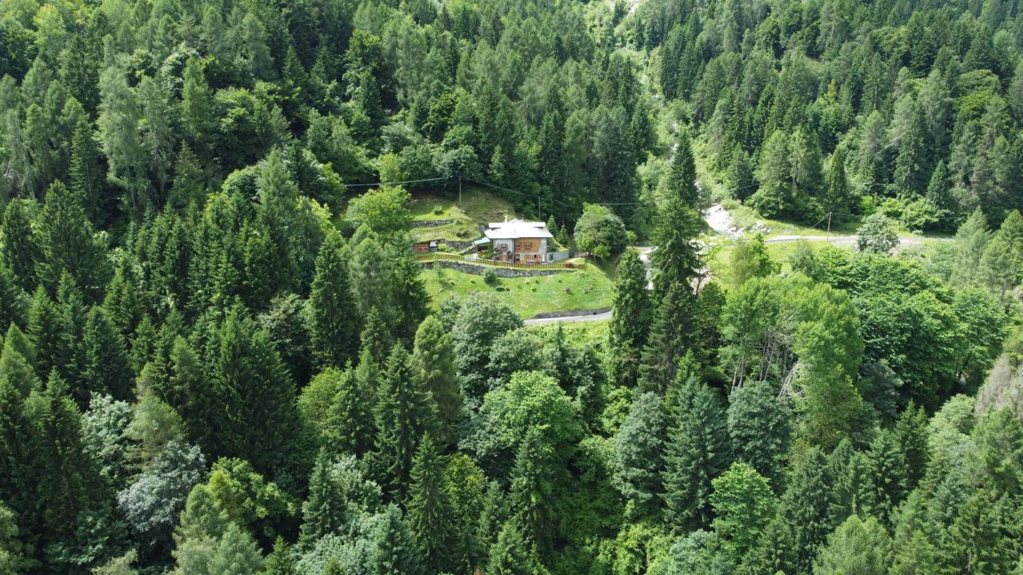 Maso Moretto Pieve Tesino Экстерьер фото